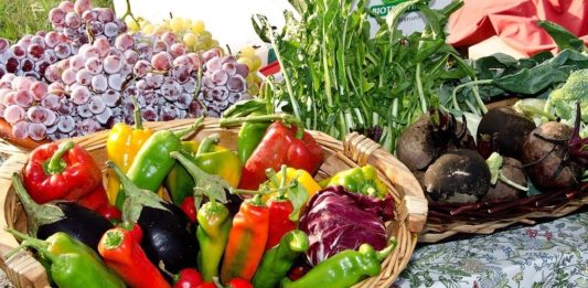 Orto domestico come fare orto in casa