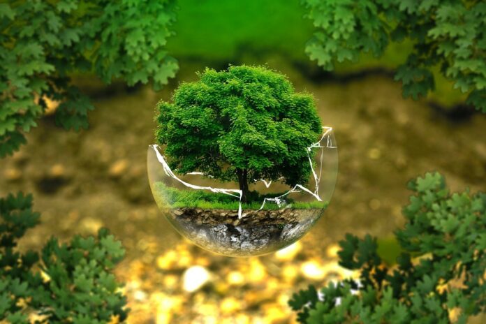 Btp Green