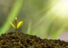 come investire i soldi da giovani
