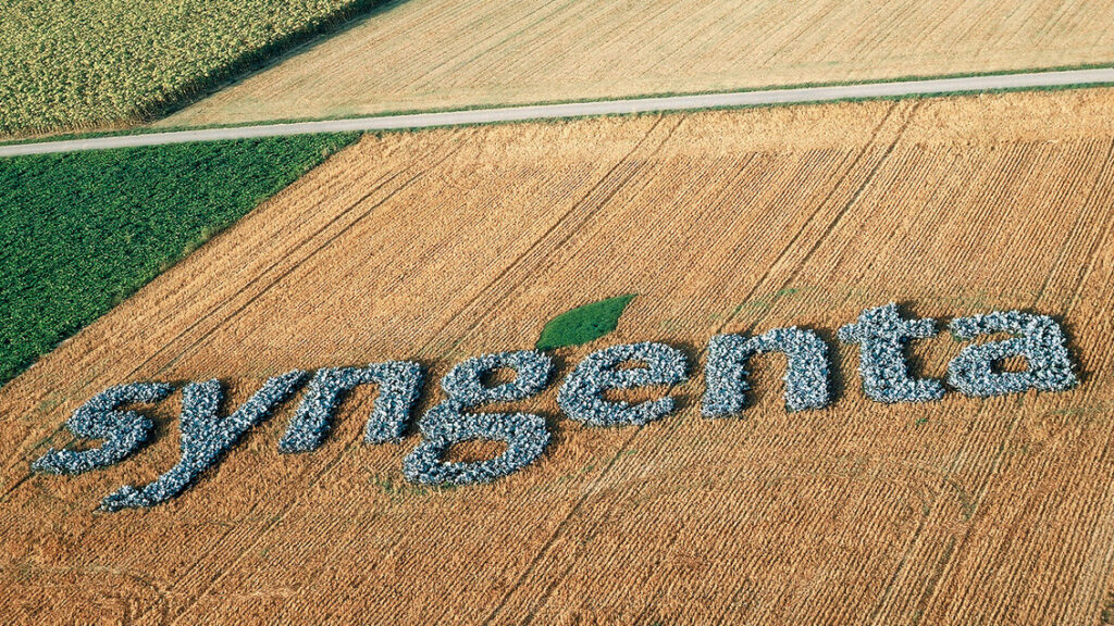 piantagione di Syngenta