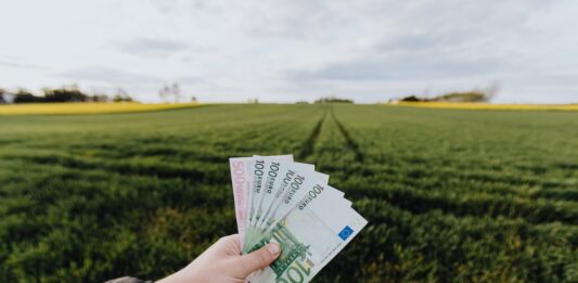 Green Bond Intesa Sanpaolo