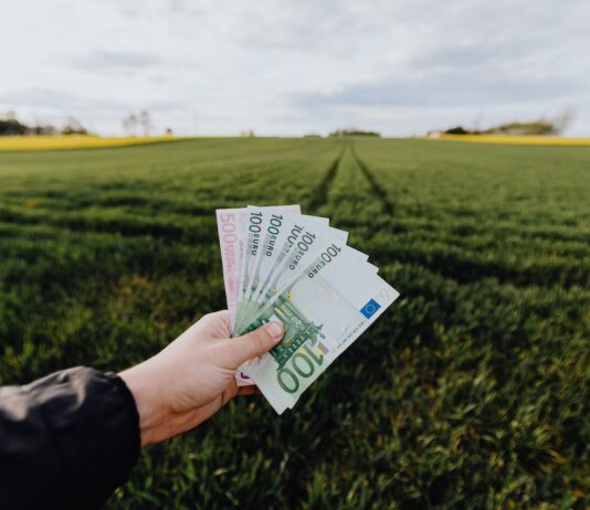 Green Bond Intesa Sanpaolo