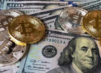 Bitcoin e dollari Usa