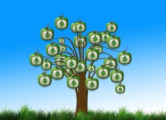 albero che frutta soldi