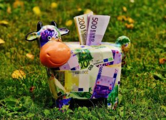 maialino fatto di banconote euro e sullo sfondo un prato