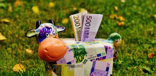 maialino fatto di banconote euro e sullo sfondo un prato