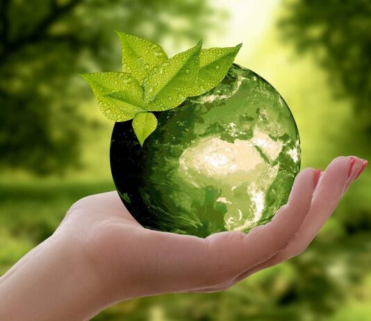 sostenibilità ambientale