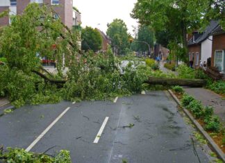 polizze eventi climatici estremi