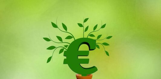euro che fruttano in un vasetto
