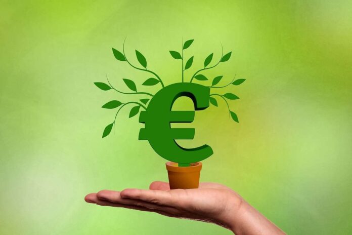 euro che fruttano in un vasetto