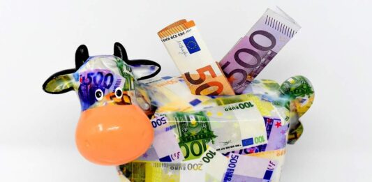 maialino con banconote