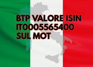 bandiera italiana con al centro Italia fisica