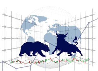 toro e orso degli investimenti