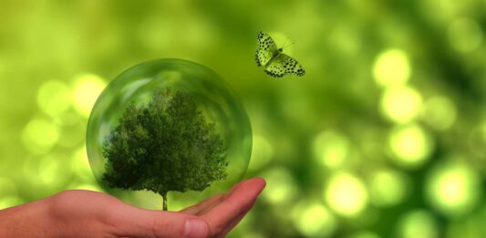 sostenibilità ambientale