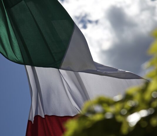 risultati asta bot dicembre 2024