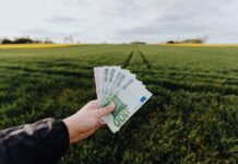 Nuovo BTP Green: cedola e rendimento esitato. Quando si potrà comprare? nuovo btp green 2037