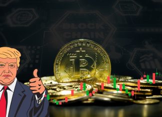 Bitcoin e altcoin sotto Trump