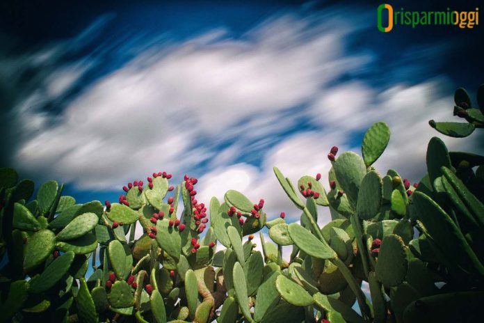 puglia-possibile-crowdfunding-civico Puglia Possibile