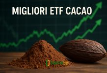 I 3 migliori ETF cacao 2026 sotto esame: quali sono? noce di cacao e grafico al rialzo