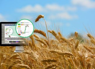 quotazione del frumento