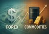 Correlazione tra forex e materie prime: come può essere usata rapporti di correlazione forex materie prime