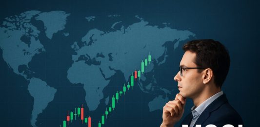 Indice MSCI Word e investitore