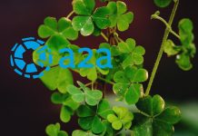 Obbligazioni A2A: ordini boom, tutte le caratteristiche del senior unsecured bond green a2a