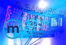 percentuali di rendimento e grafico