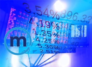 percentuali di rendimento e grafico