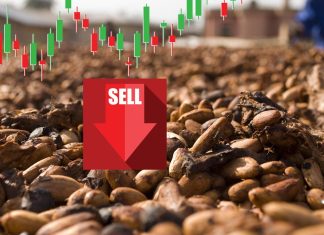 semi di cacao e grafico sell