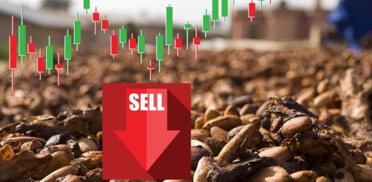semi di cacao e grafico sell