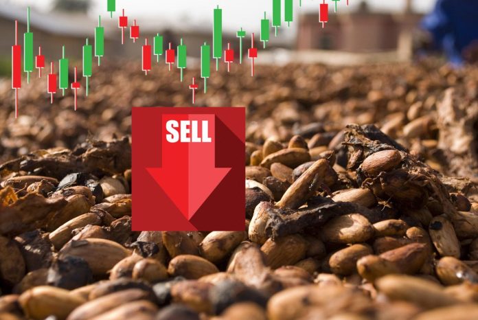 semi di cacao e grafico sell