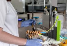 laboratorio diagnosi e grafico