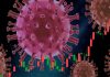 virus hantavirus