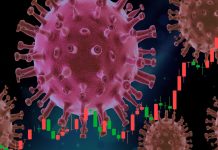 virus hantavirus