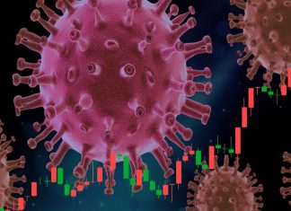 virus hantavirus