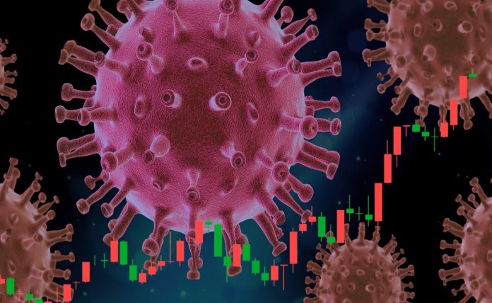 virus hantavirus