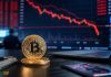 bitcoin motivi crollo