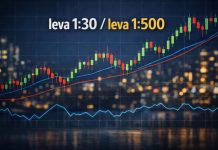 Perchè alcuni broker offrono leva 1:30 e altri 1:500? grafico a candele borsa